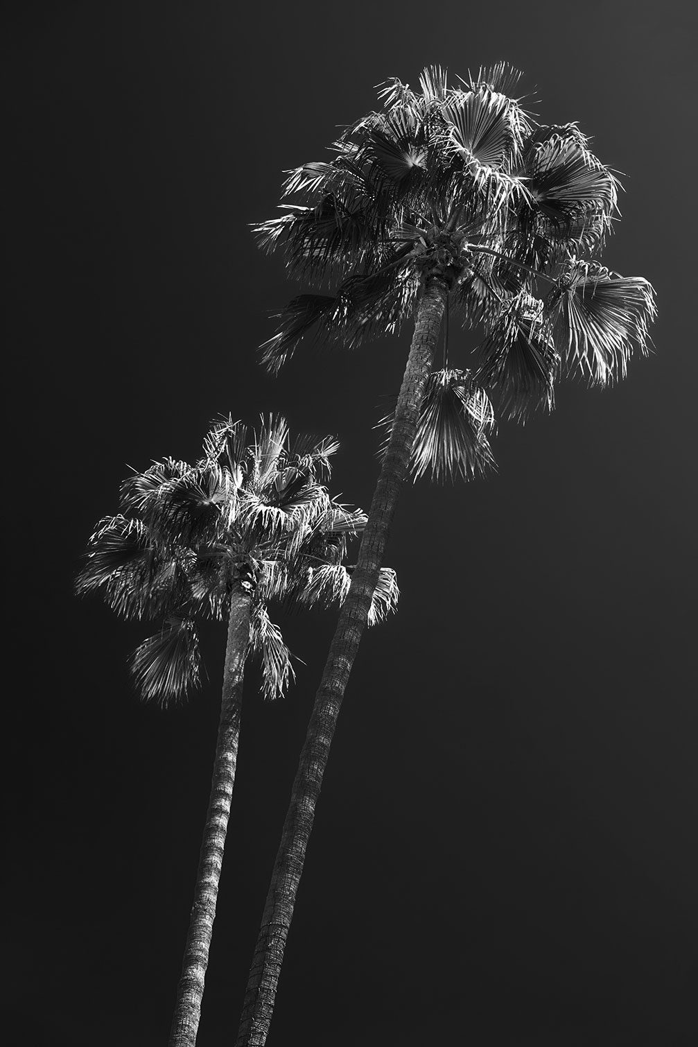 Tableau noir et blanc Ambiance Californie, HEXOA