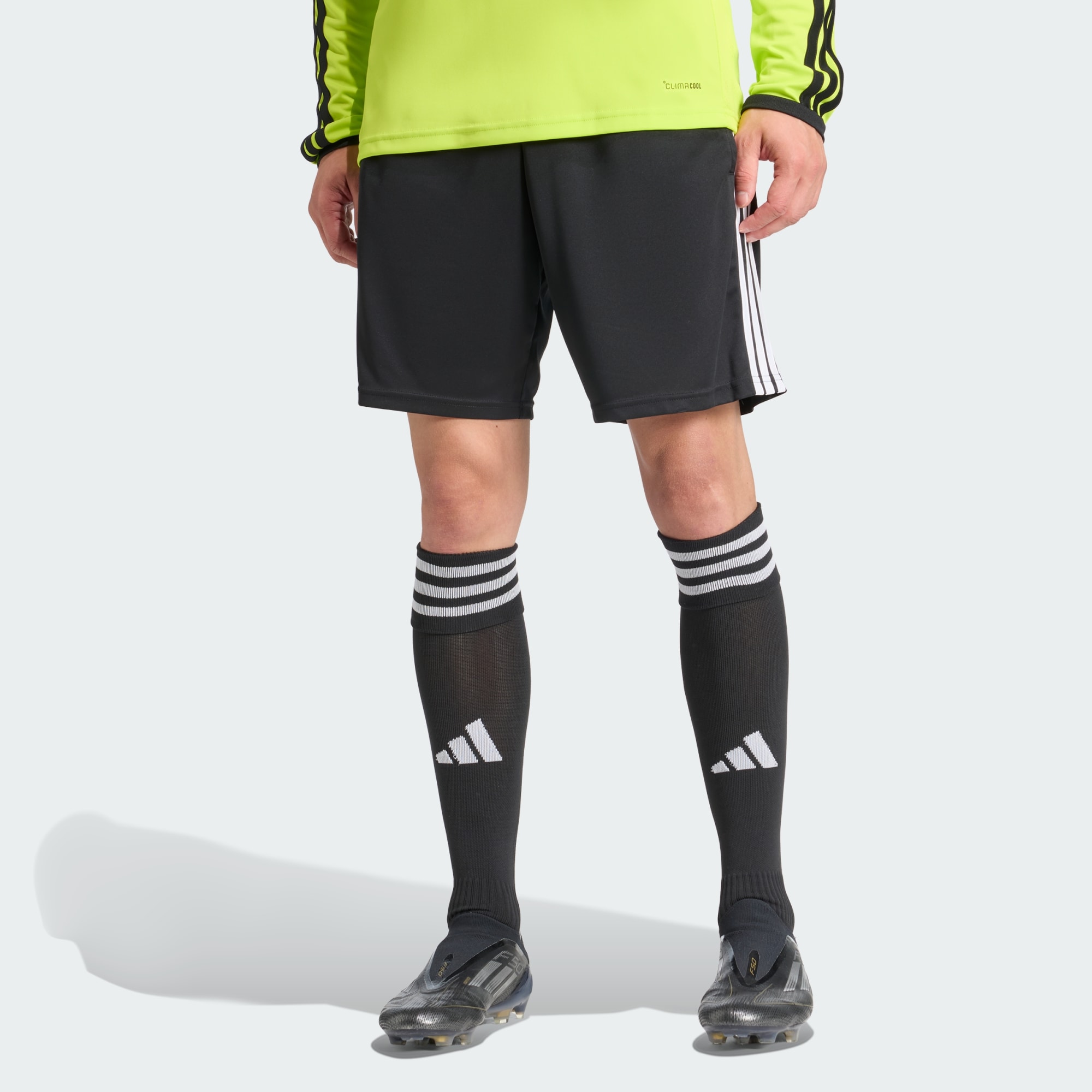 Short Arbitre 26, adidas Performance