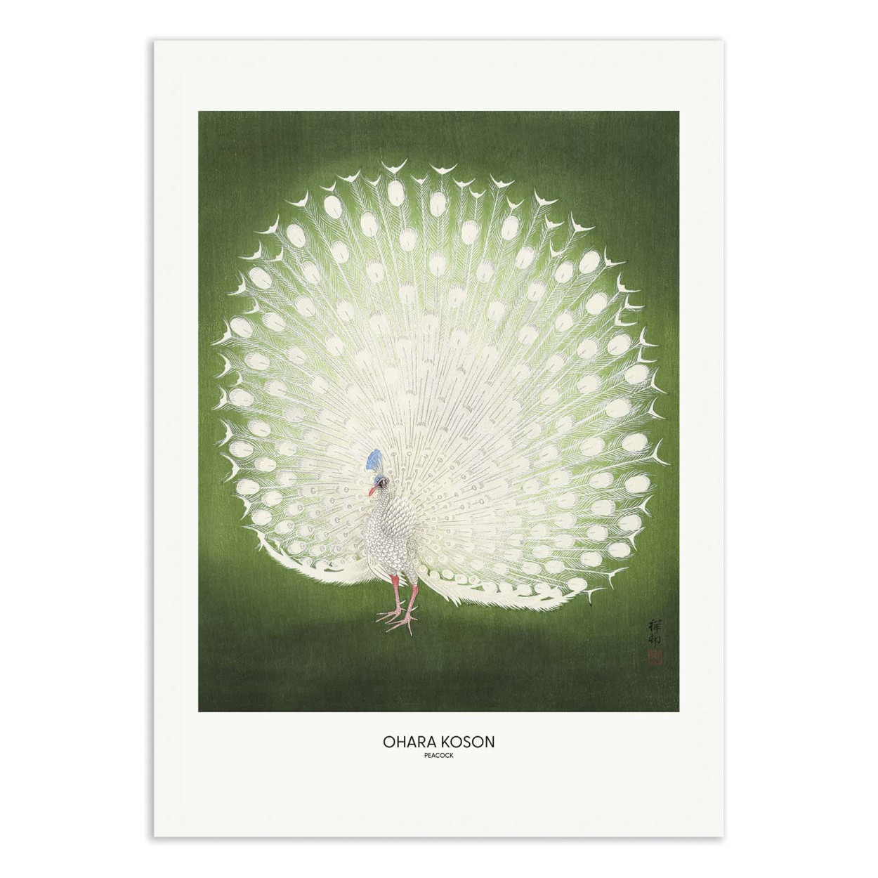 Affiche d'art - Peacock - Wide Ohara Koson, WALL EDITIONS
