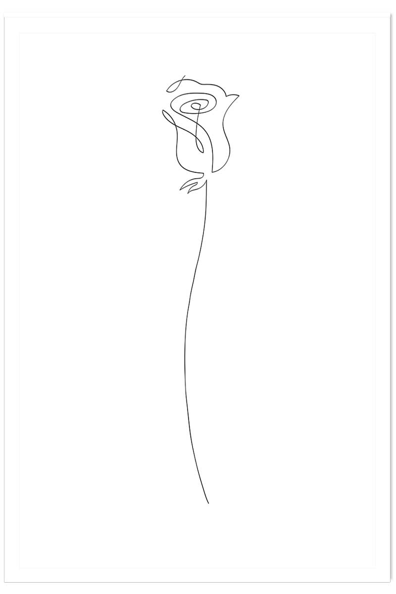 Affiche Bouton de rose Croquis, HEXOA