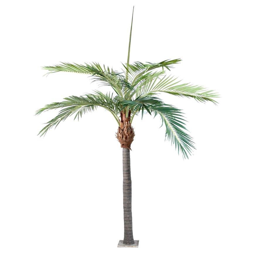 Palmier Phoenix artificiel H 400 cm D 290 cm, ARTIFICIELLES