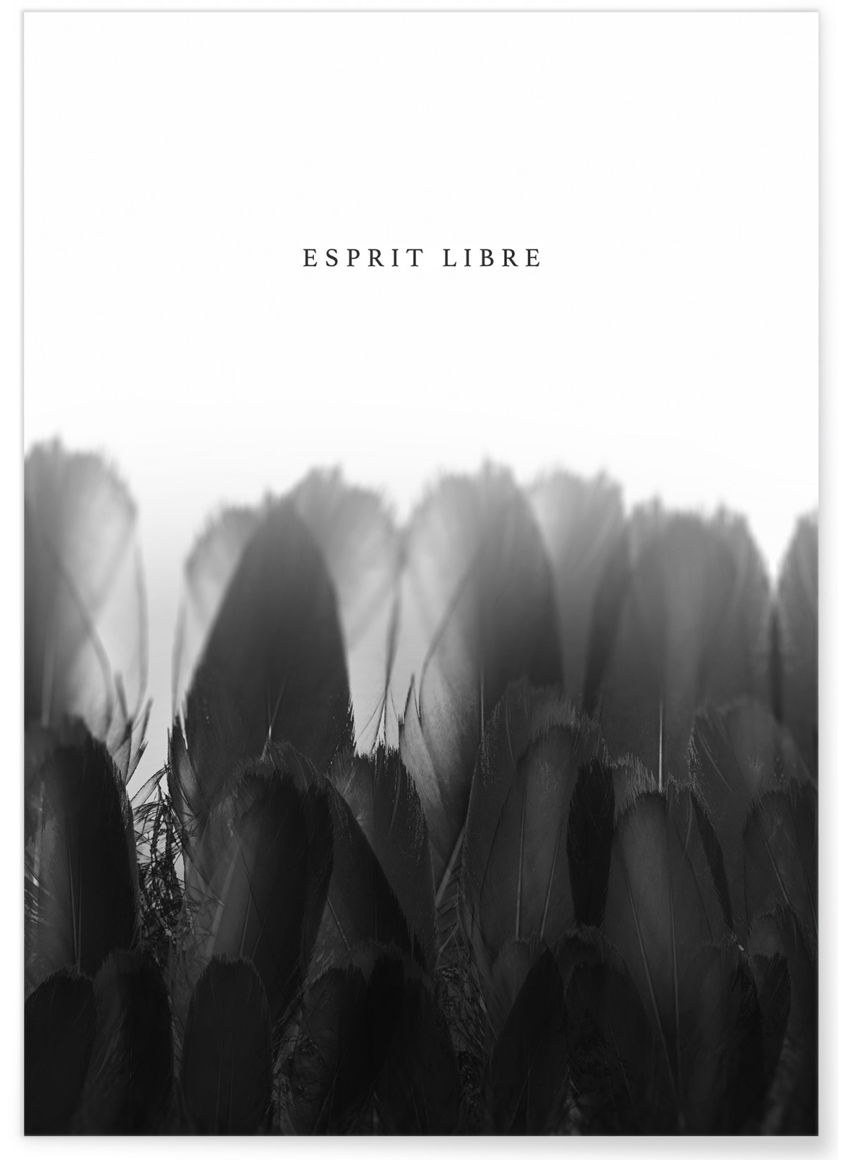 Affiche Esprit Libre, L'AFFICHERIE