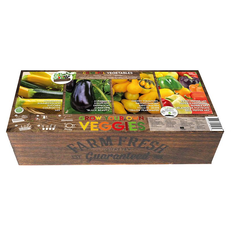 Carré de Potager Légumes Colorés, FLOREX