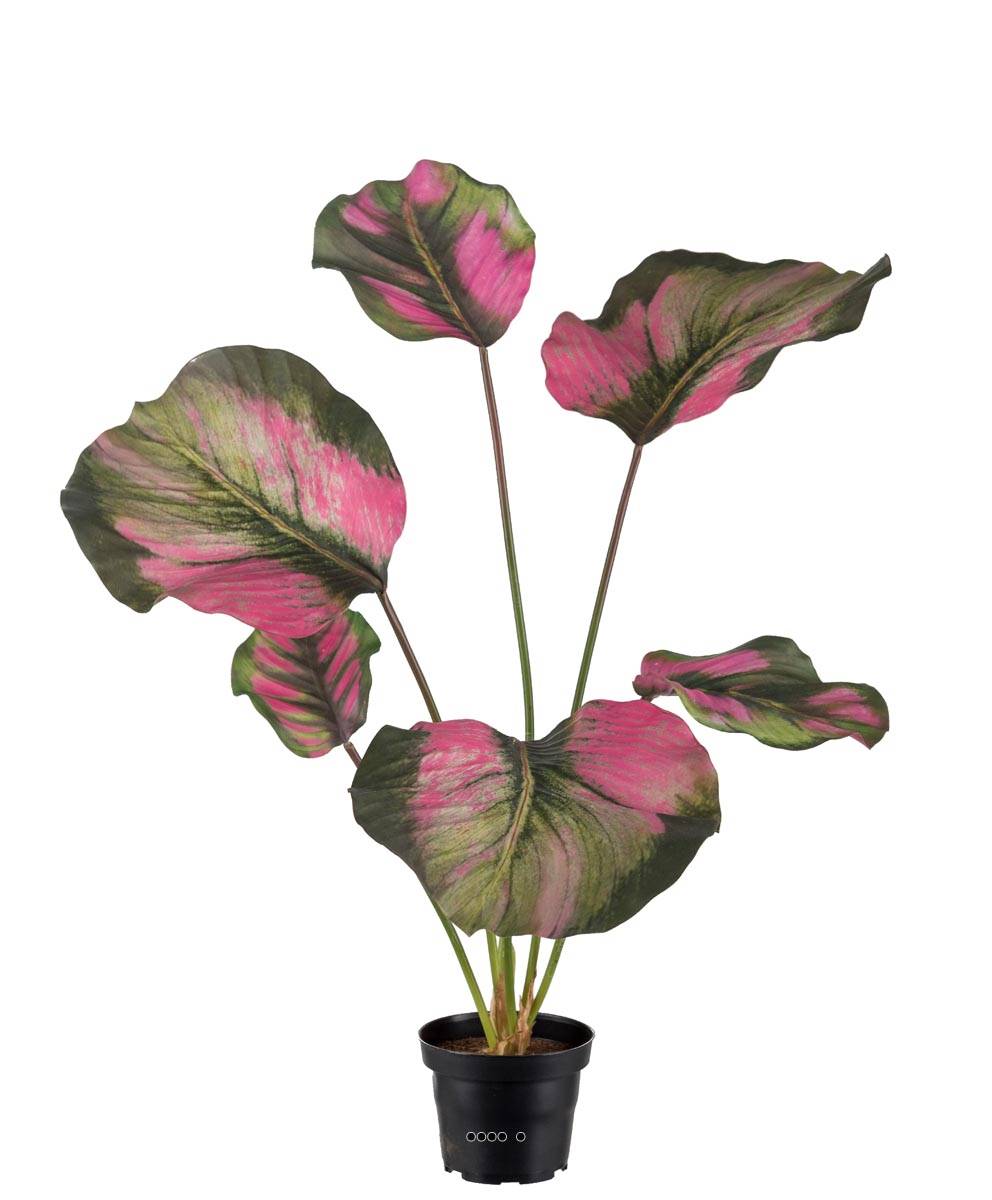 Calathea artificielle en pot, grandes feuill, ARTIFICIELLES