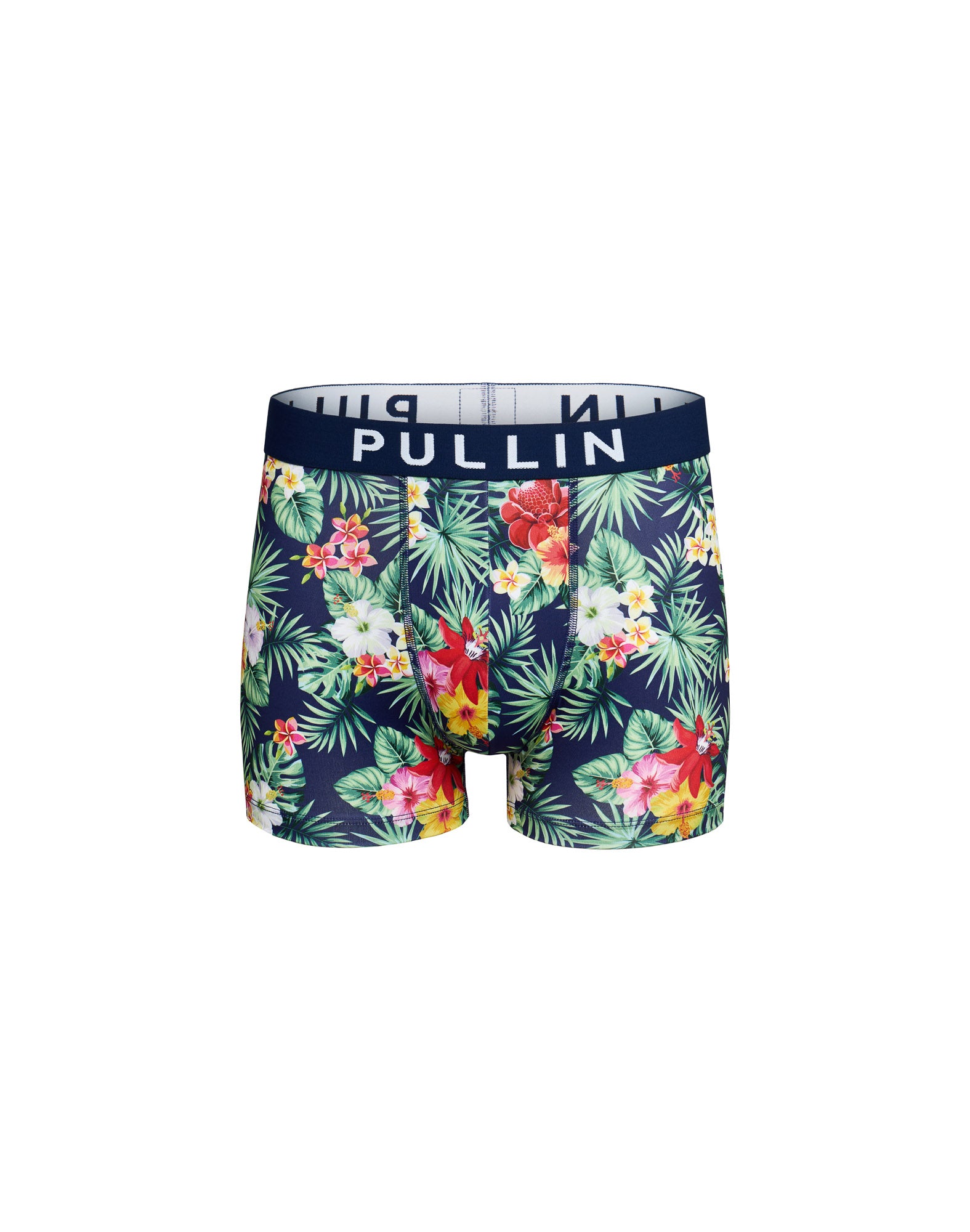BOXER COURT FIDJOU, PULLIN