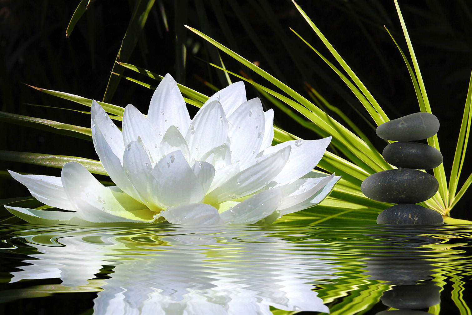 Tableau fleur de lotus et galets, HEXOA