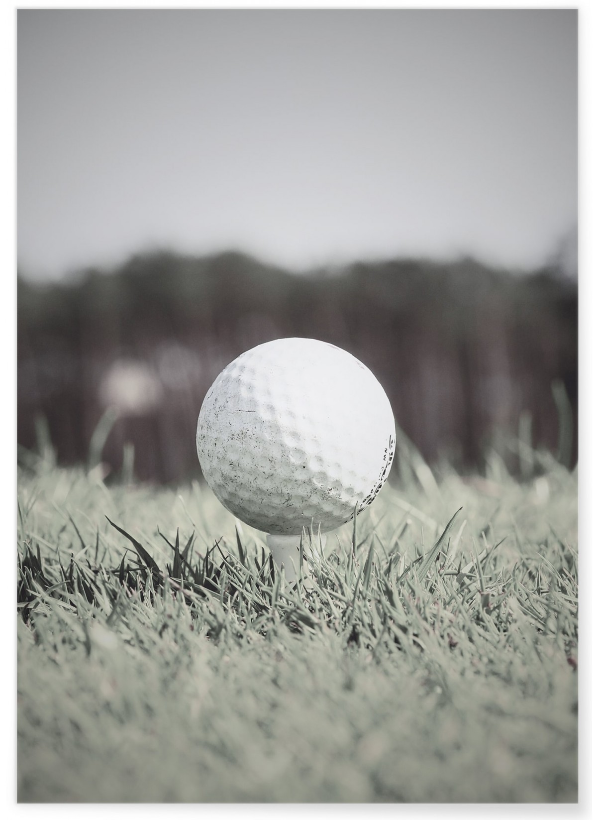 Affiche Golf 2, L'AFFICHERIE