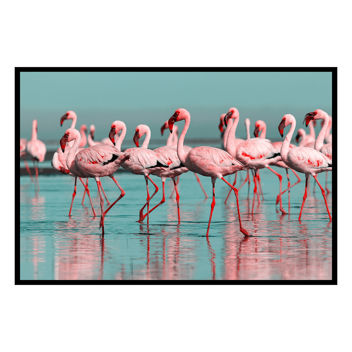 Affiche encadrée flamants roses en groupe, HEXOA