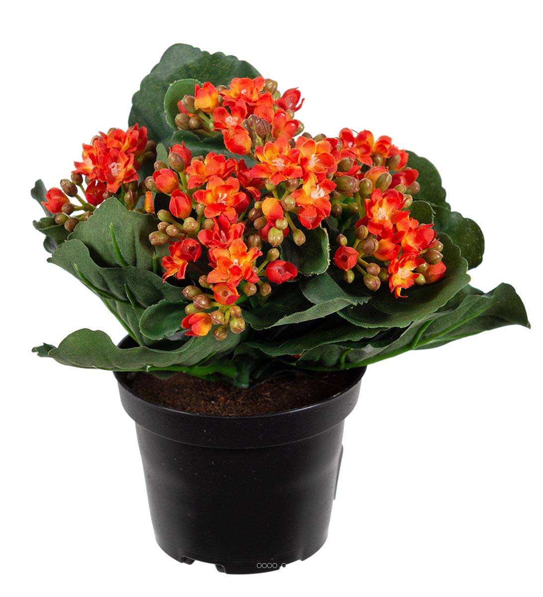 Kalanchoé artificiel en pot H20cm adorable e, ARTIFICIELLES