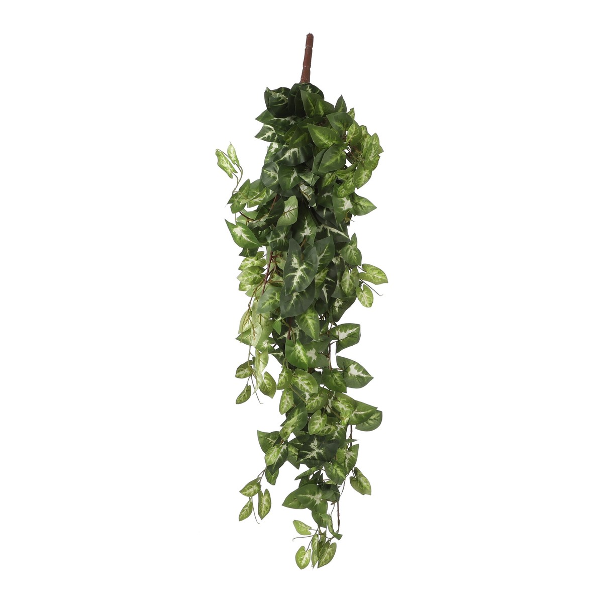 Plante artificielle FITTONIA, MICA DECORATIONS