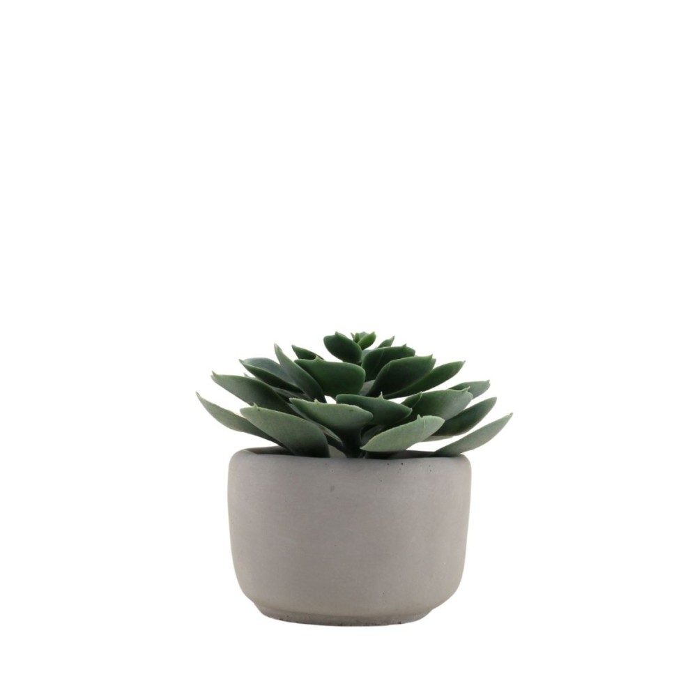 Plante artificielle pot en ciment 12cm, ORNAMI