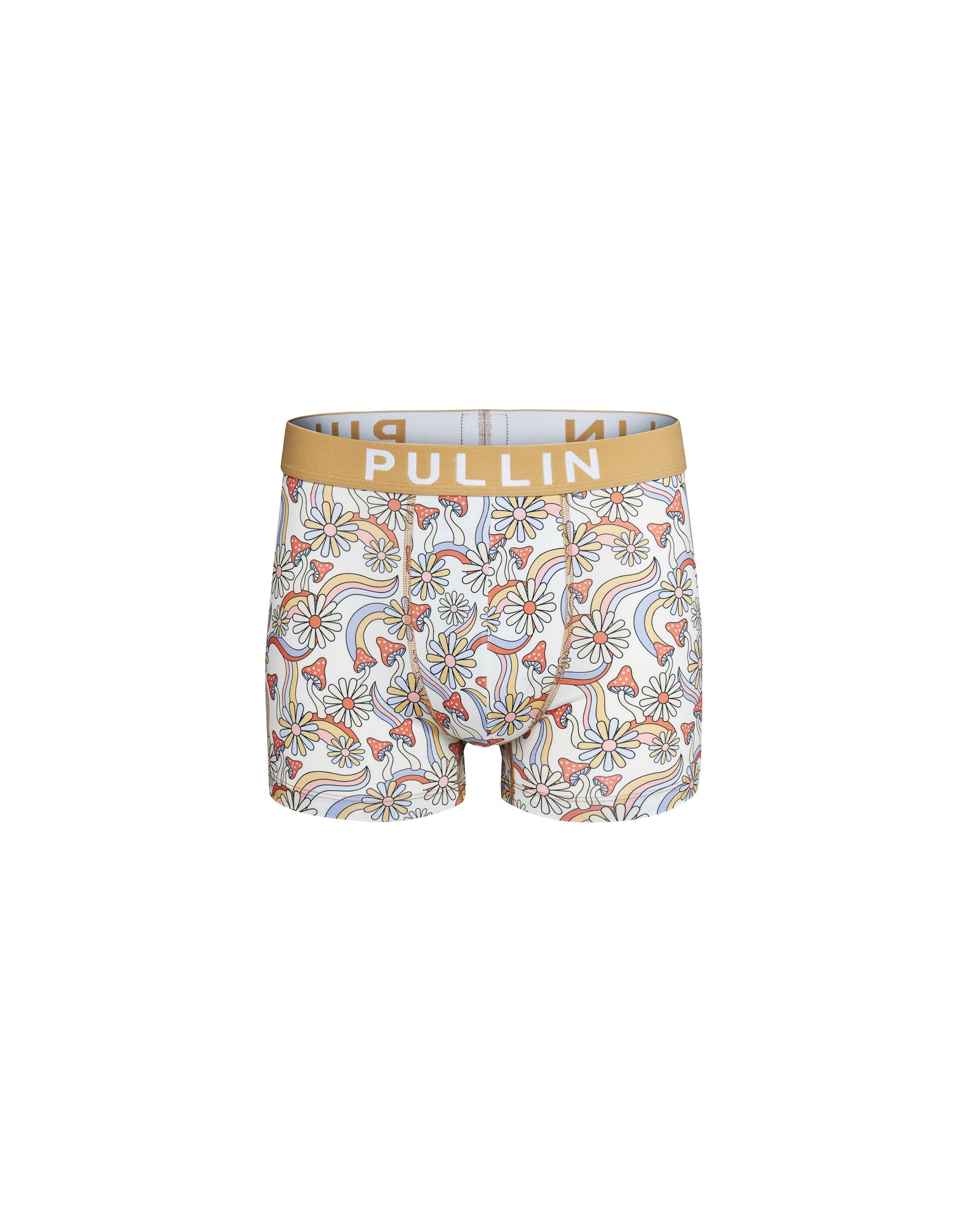 BOXER COURT FLAMBY, PULLIN