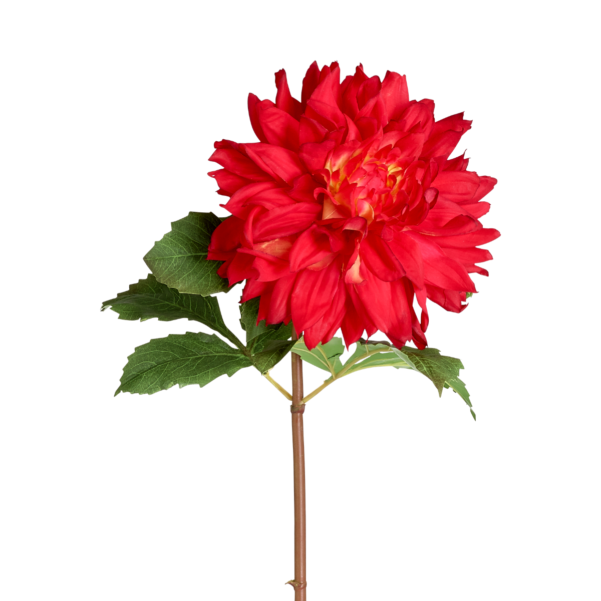 Tige de dahlia artificielle H70 MONICA, SIA DECO