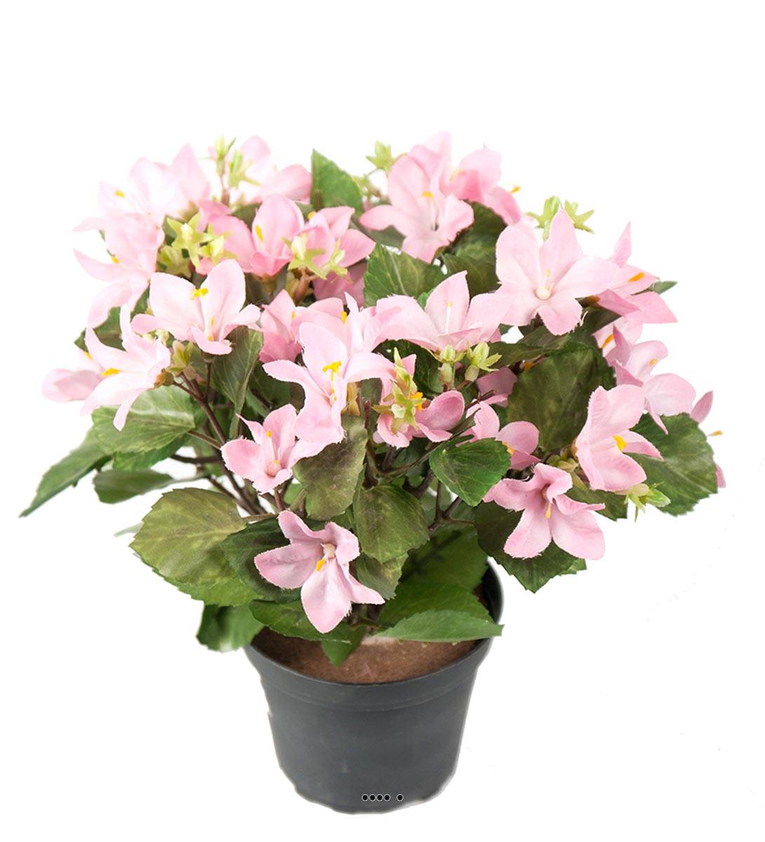 Campanules artificielles en pot, H 25 cm, ARTIFICIELLES