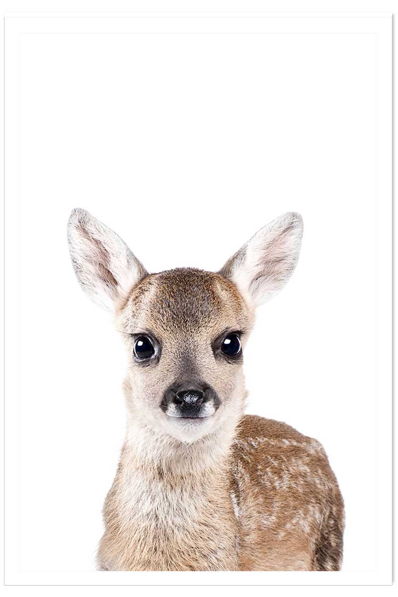 Affiche enfant bébé biche, HEXOA