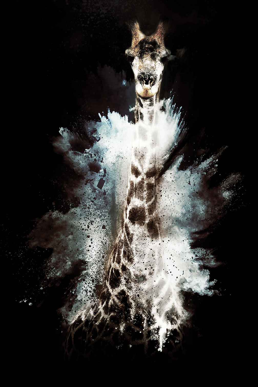 Tableau wild explosion girafe, HEXOA