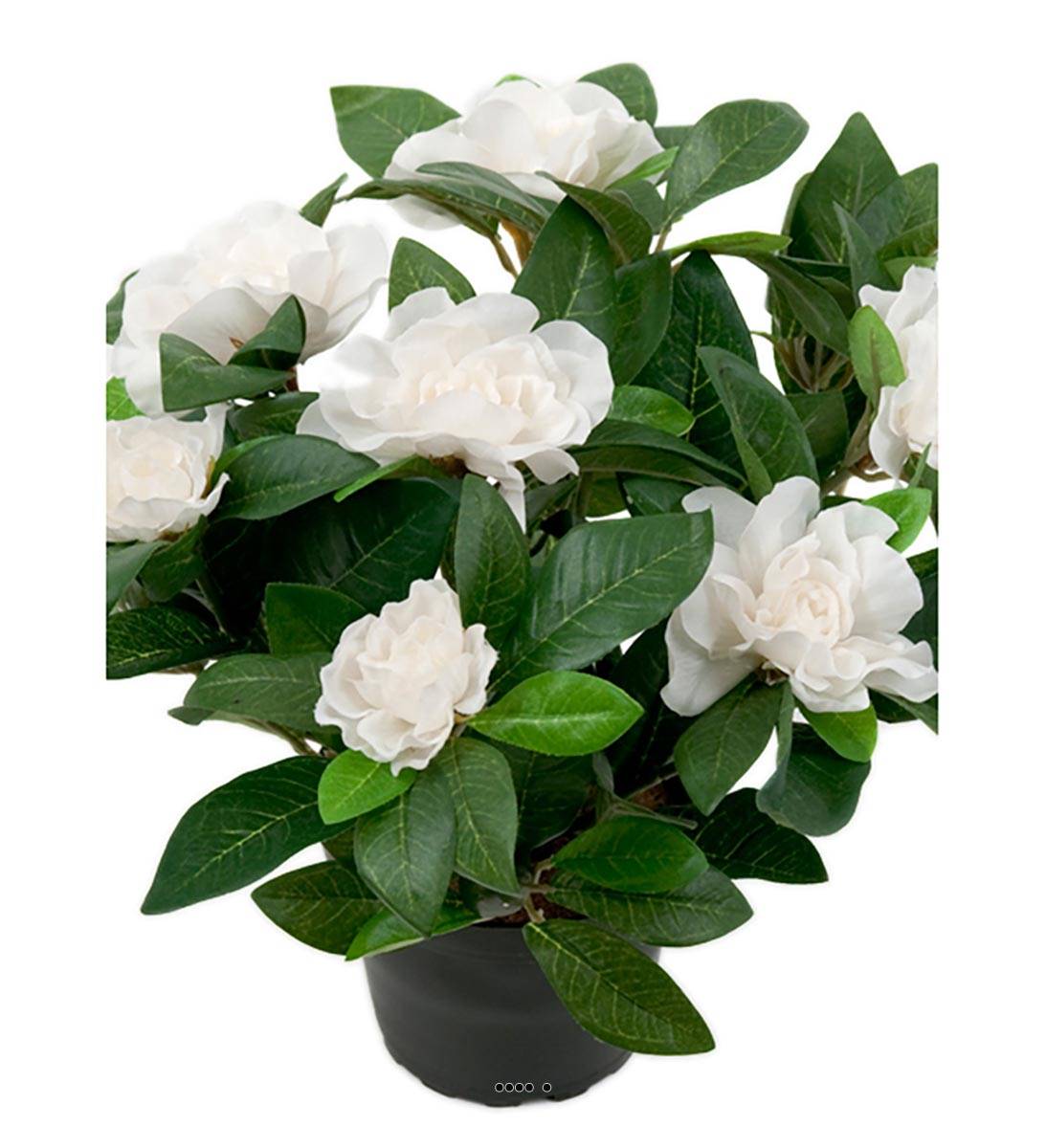 Gardenia Plante fleurie artificielle 8 fleurs, ARTIFICIELLES