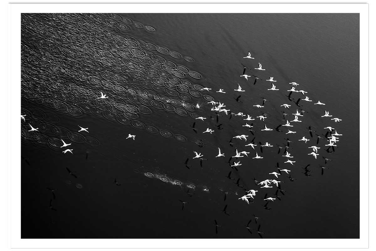 Affiche Take off, HEXOA