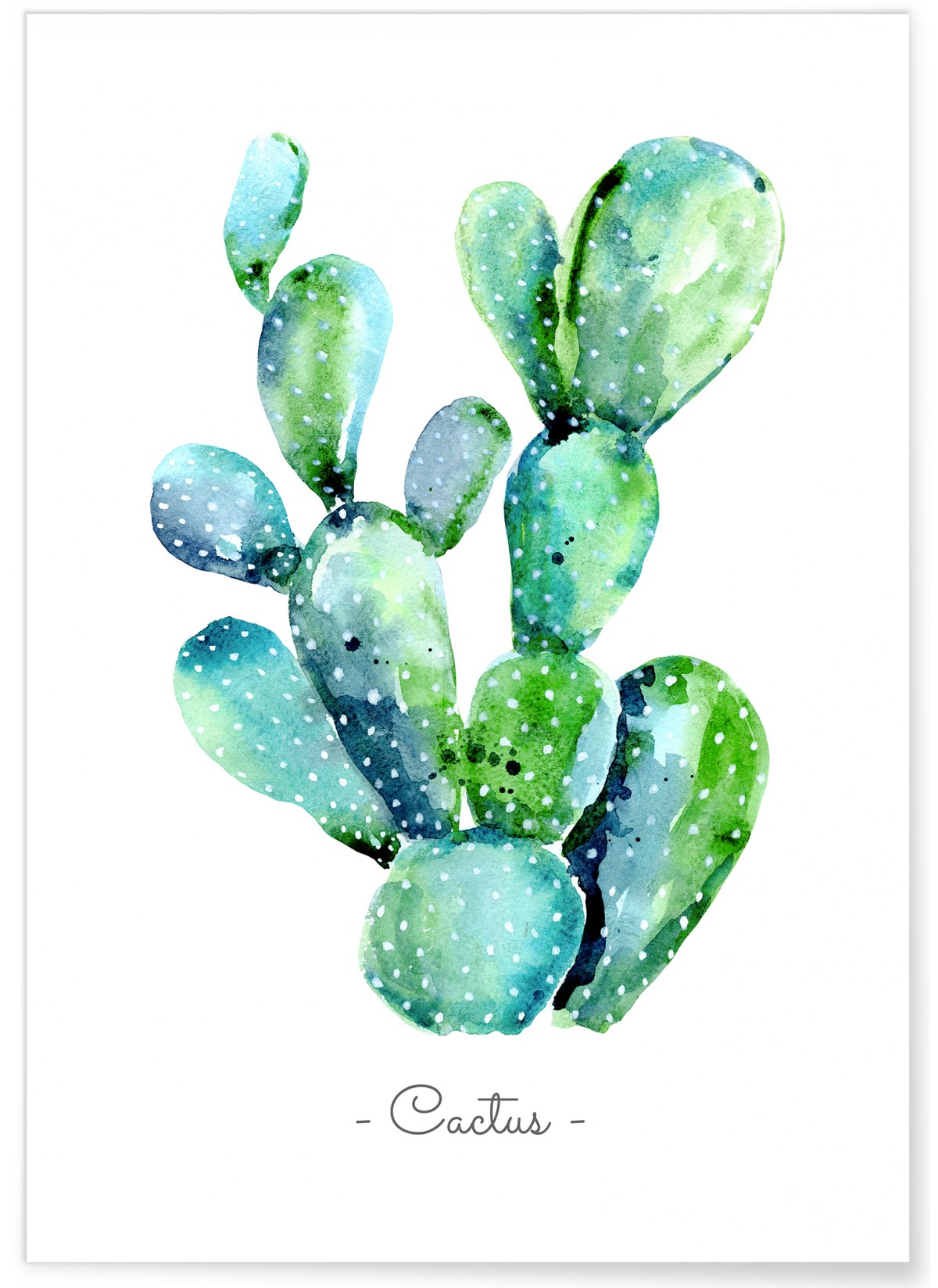 Poster Cactus aquarelle, L'AFFICHERIE