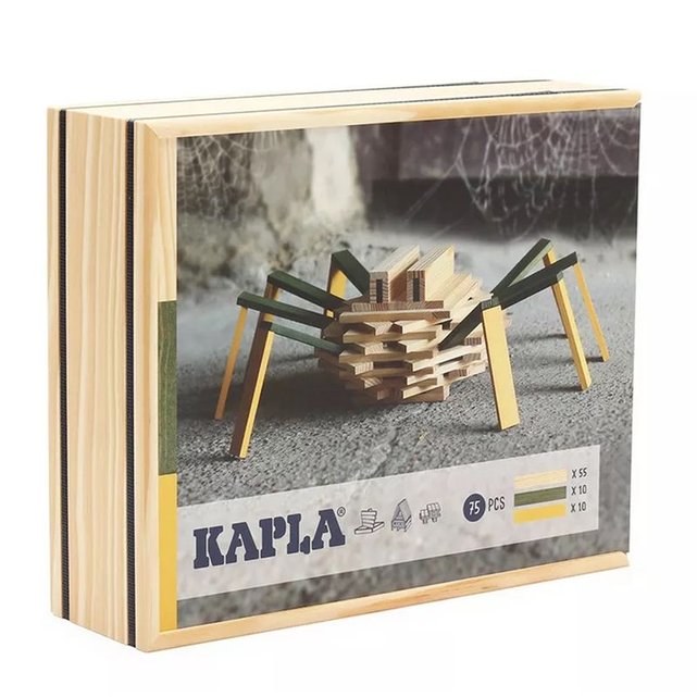 Né dans l'Aveyron, le jeu de construction Kapla ravit toujours petits et  grands