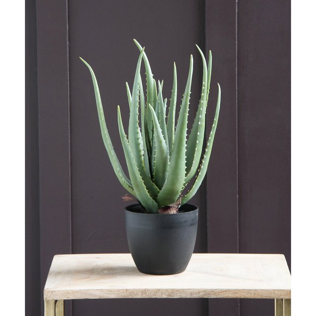 45cm artificial aloe vera plant , green, So�home La Redoute