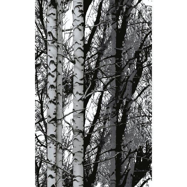 environ 254.00 cm Gratuit Adhésif 144 x 100 in Ghost Black Forest papier peint Papier peint photo Foncé