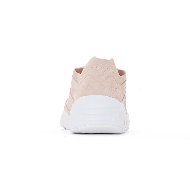 r698 soft pack rose