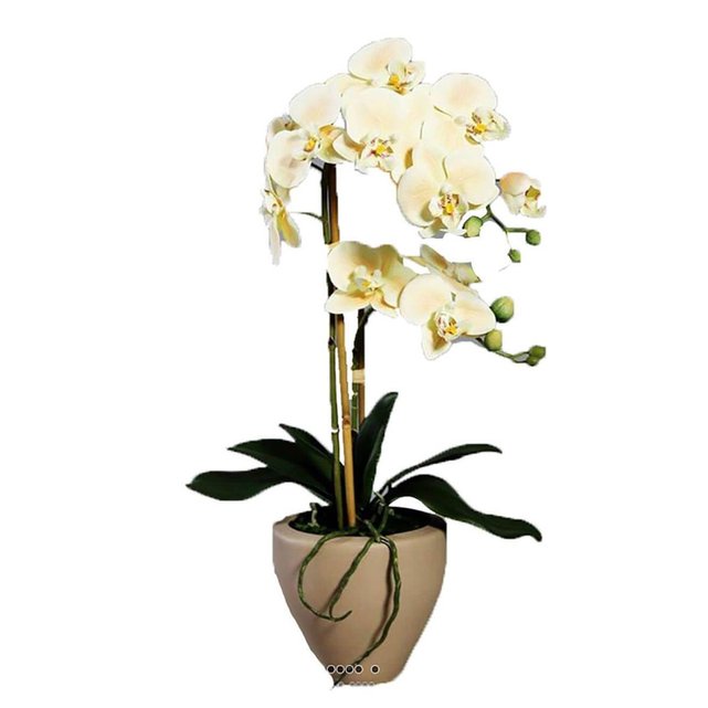 Orchidée phalaenopsis artificielle 2 hampes en pot céramique, H 30 cm du  site