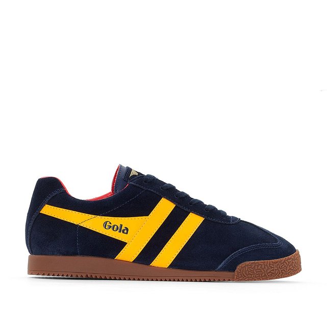 gola bleu et jaune