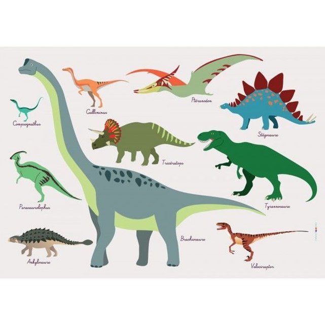 Set de table enfant : dinosaures multicolore Decoloopio ...