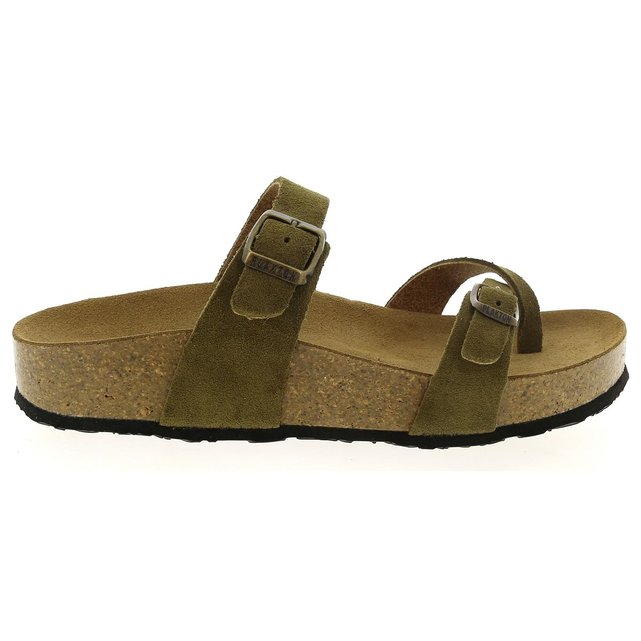 plakton camel