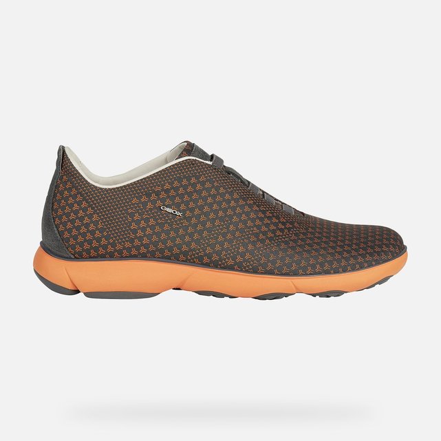 geox la redoute homme