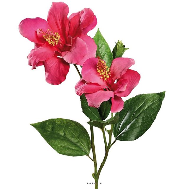 Hibiscus Artificiel En Branche H 65 Cm 2 Fleurs Exotiques Rose Fushia Couleur Rose Fushia