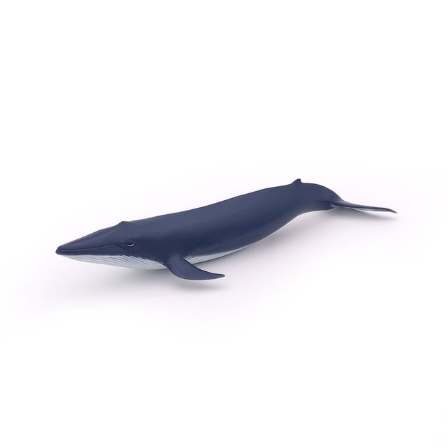 Bebe Baleine Bleue Papo La Redoute