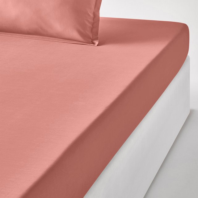 Plain 100% cotton percale fitted sheet La Redoute Interieurs | La Redoute