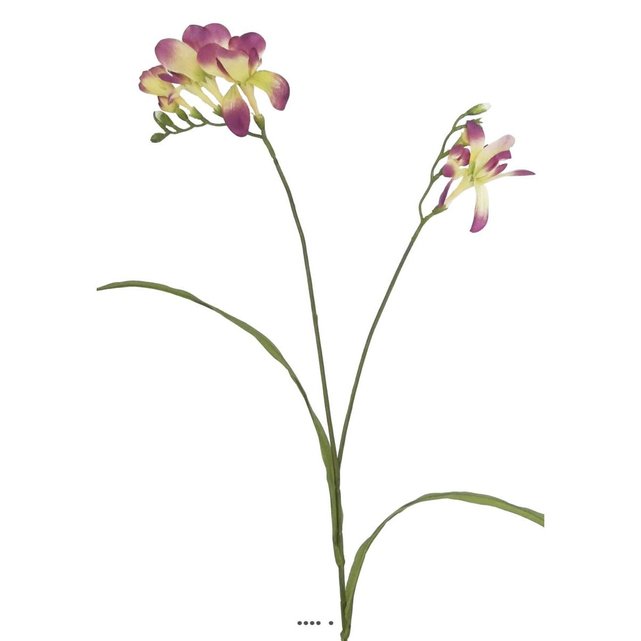 Freesia Artificielle En Tige Fleur Artificiel Des Champs H 70 Cm Ideale Pour Bouquet Pourpre Crème Couleur Pourpre Crème