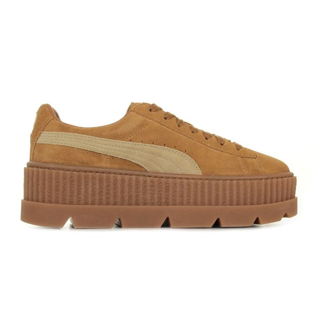 puma creepers prune puma creepers prune