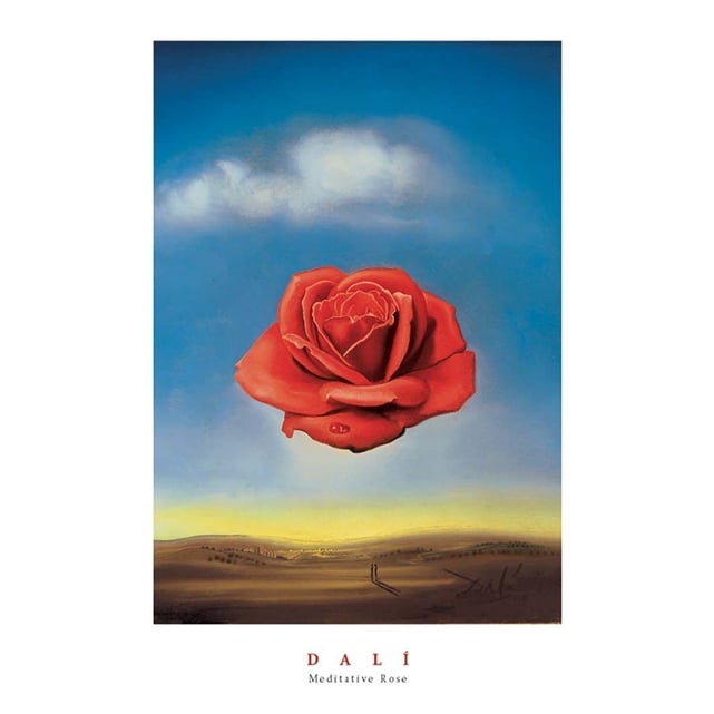 Download Poster mural affiche la rose meditative salvador dali multicolore Draeger La Carterie | La Redoute