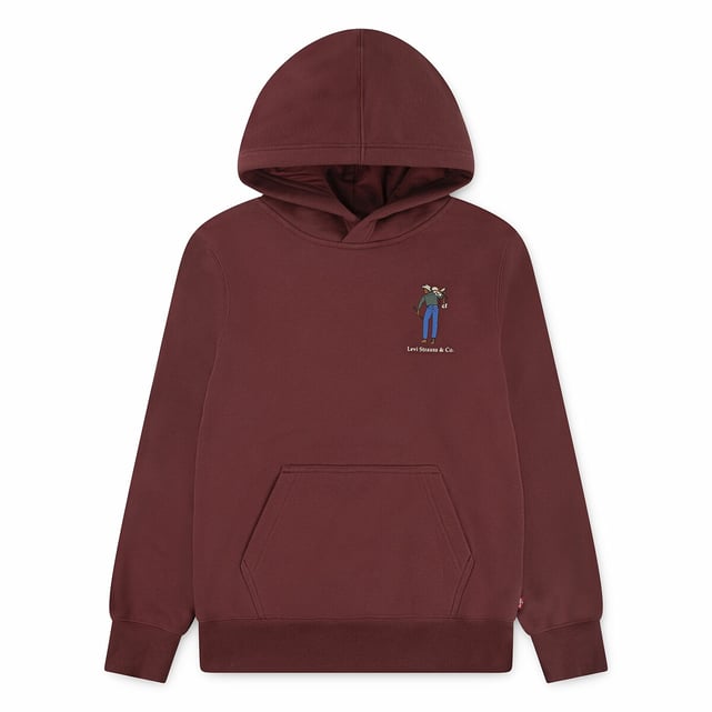 Sweat Levi's Enfant 10 Ans – Bleu, Capuche, état Très Bon (occasion)
