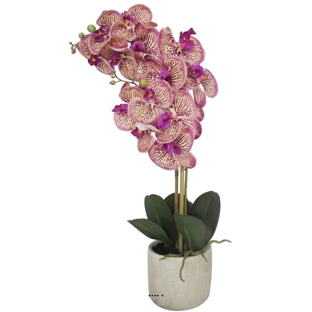 Orchidée phalaenopsis artificielle 2 hampes en pot céramique, H 30 cm du  site