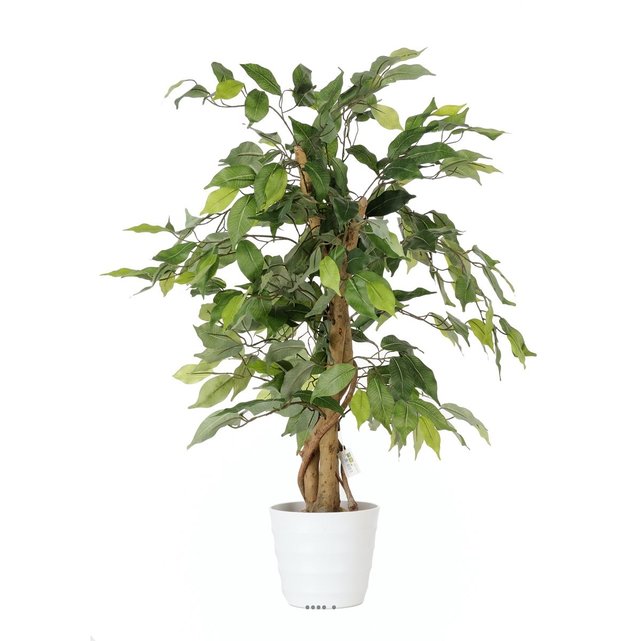 Ficus Artificiel-80cm