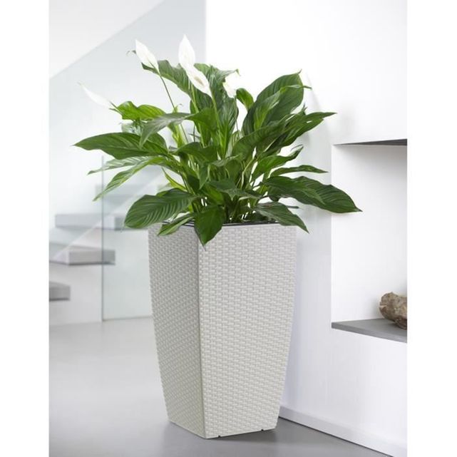 casa mesh pot a r 233 serve d eau 30x30x57 cm blanc int 233 rieur casa mesh pot a r 233 serve d eau 30x30x57 cm blanc int 233 rieur