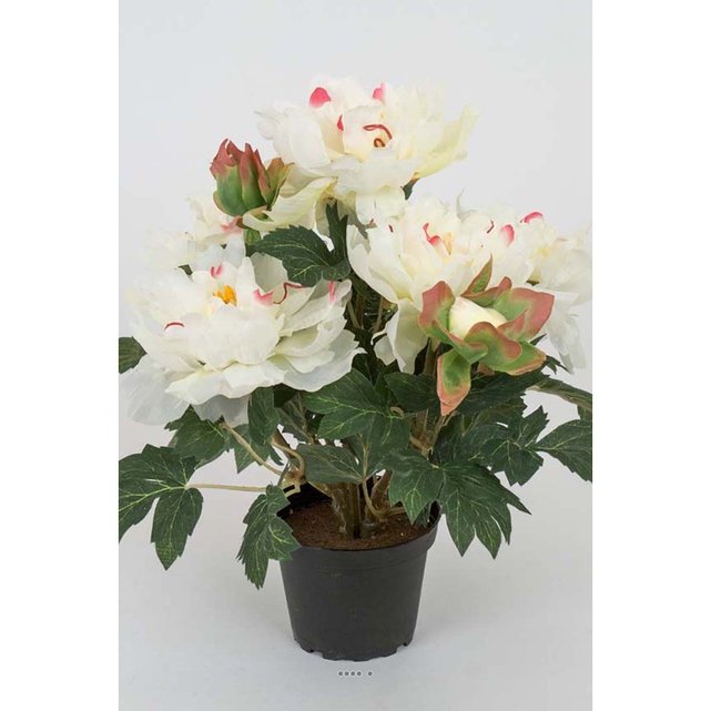 Pivoine artificielle en pot h 35 cm 4 fleurs et 2 boutons ...