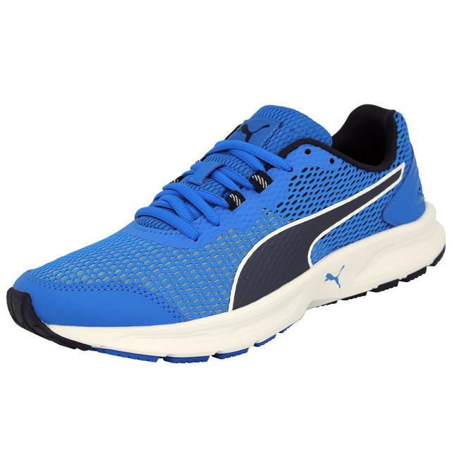 puma descendant puma descendant