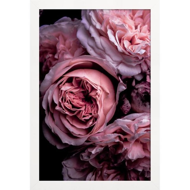 Panorama Poster Vintage Rose Rose 21x30cm Tableau Plantes Vertes Affiche Botanique- Tableau Decoration Murale Nature Tableau D/écoratif Mural Imprim/ée sur Poster de Haute qualit/é de 250gr