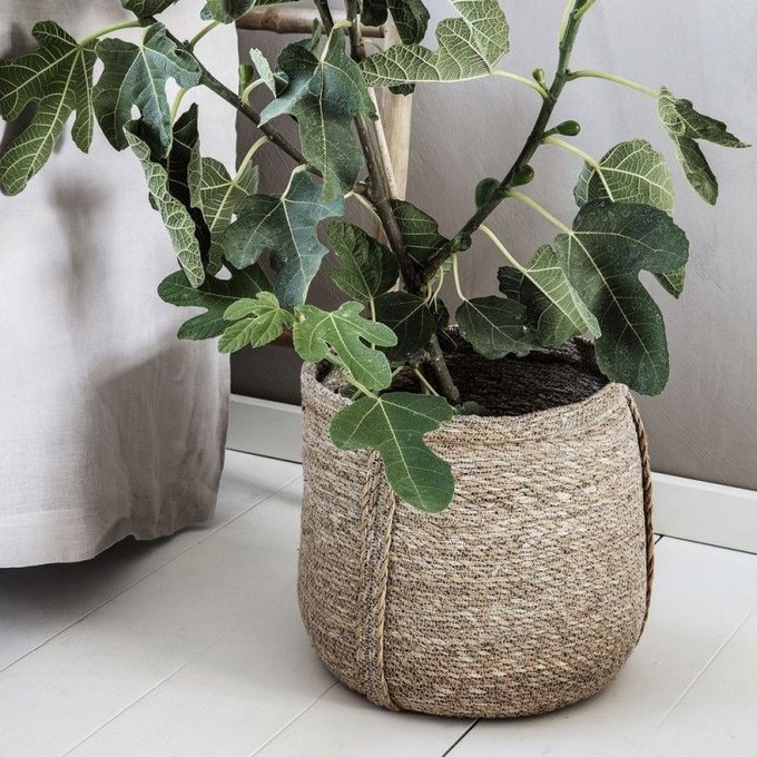 Cache Pot Panier Naturel Seagrass Plant Set De 2 Beige House Doctor La Redoute