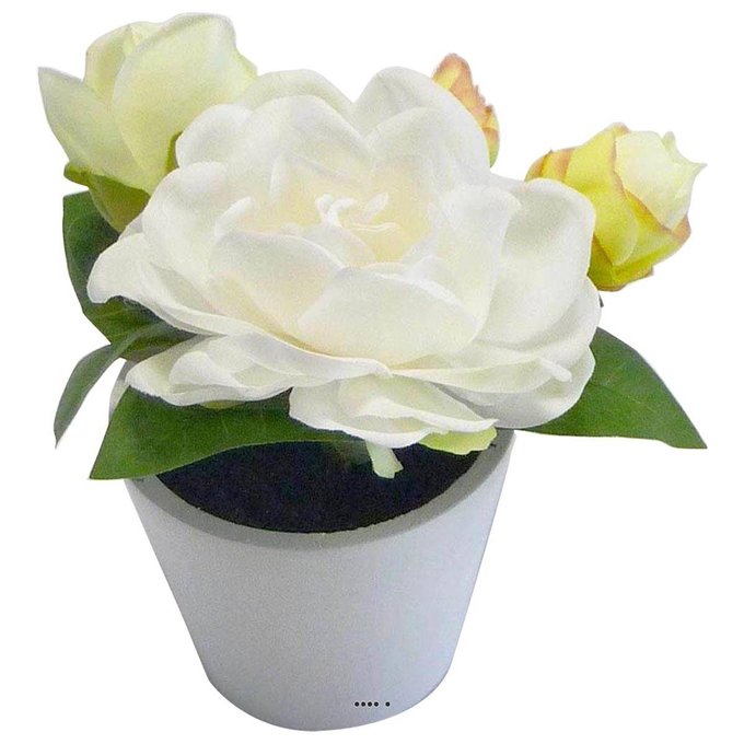 couleur Rosier artificiel en pot H 30 cm adorable et tres dense Crème Crème