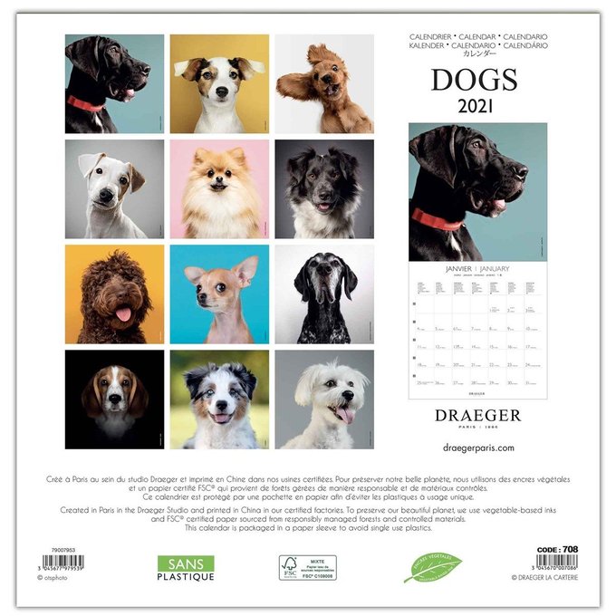 Grand Calendrier Mural 29x29cm 21 Chiens Multicolore Draeger La Carterie La Redoute Grand Calendrier Mural 29x29cm 21 Chiens Multicolore Draeger La Carterie La Redoute