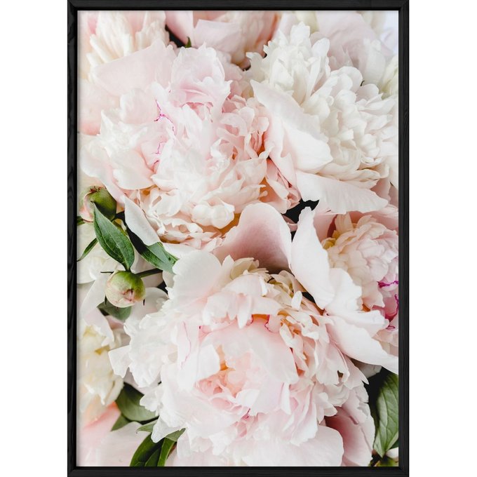 Affiche nature pivoine rose multicolore L'afficherie | La 4€36 sur Affiche VUILLON L atelier d Amelie A Draeger la