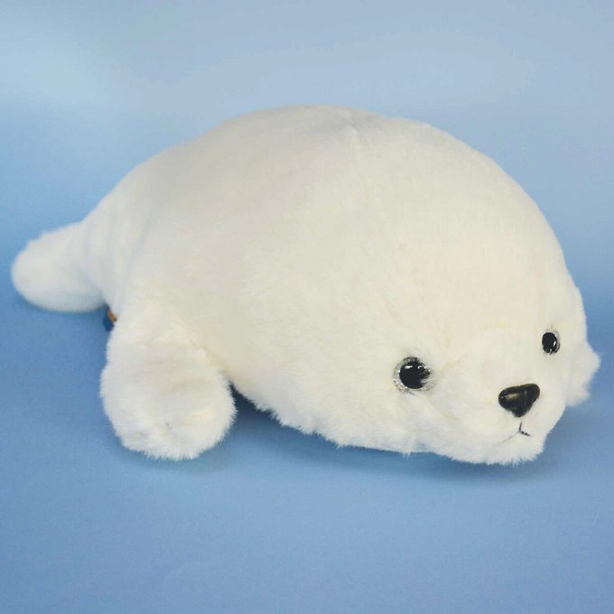 Peluche Bebe Phoque Des Tresors Marins 35 Cm Blanc Histoire D Ours La Redoute